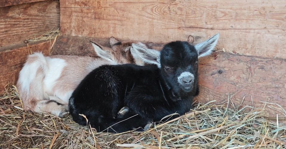 ����� ��� ����������� ������� ����� ������ � ������������ ��������