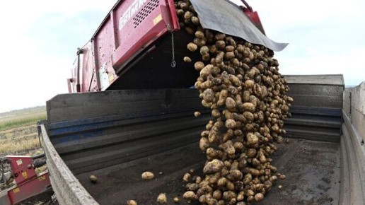 ������������ ������ ��������: ����� 600 ����� ���� ������� � �������� �������