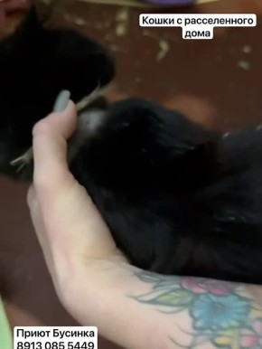 �������� ��������� ������ ��������� ����� �� ������������ ����