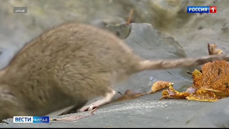 ��-�� ������ ��������� � ��������� ���� ������� ���������� �� ��������� � �����������