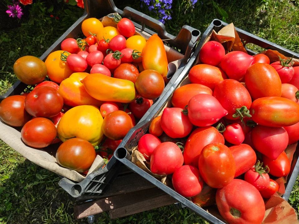 ����� �������� ������� ���������: ���� �������� ��� �������� ������