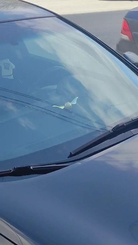 "����� ������ � ������������ � �������"