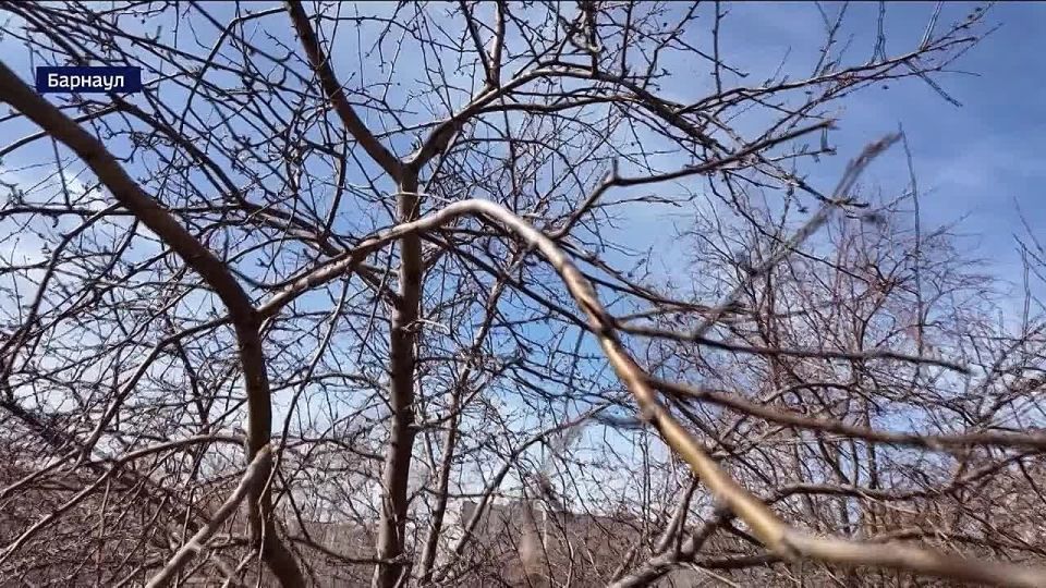 ����� 300 ����� ������ ������� �� ������� ������� �������