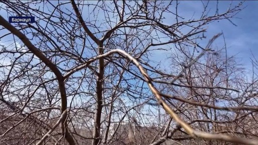 ����� 300 ����� ������ ������� �� ������� ������� �������