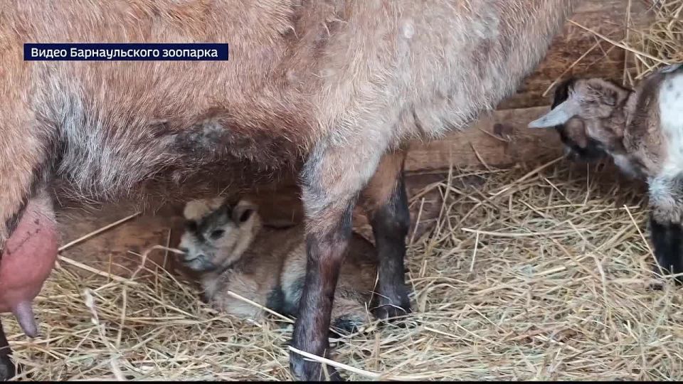 � ������������ �������� �� ��� ��� ��� ���� ������������ ����� ������� ��� ���������� ����� ������