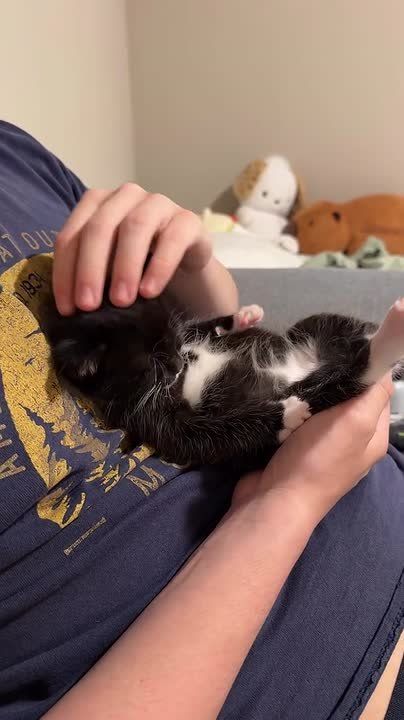 ��������-�������� � ������