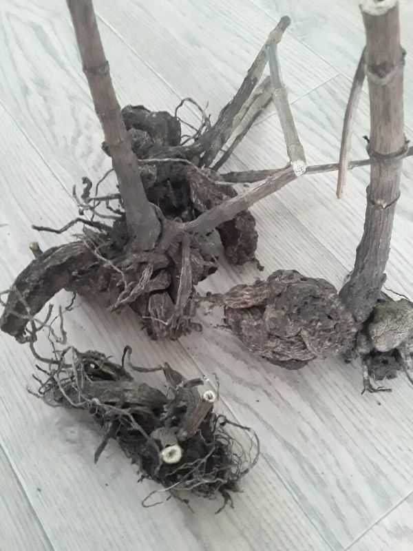 ��������: ��� ��������� ������ � ������� �� �����������