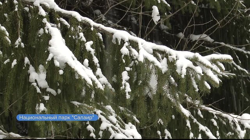 ������� ������� ����� ����������� ������� ������ �������� ����