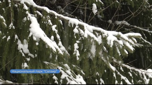 ������� ������� ����� ����������� ������� ������ �������� ����