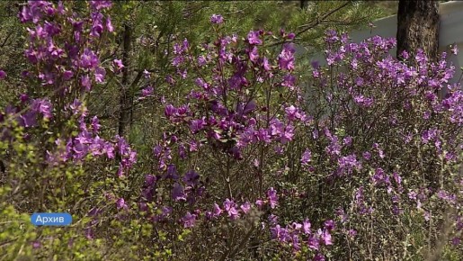 До старта летнего турсезона на Алтае осталось чуть больше двух недель