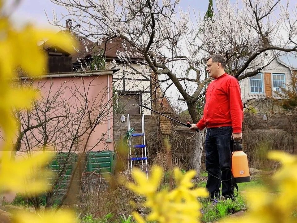 ����������� ������� ������ � ���� � ���� � �������