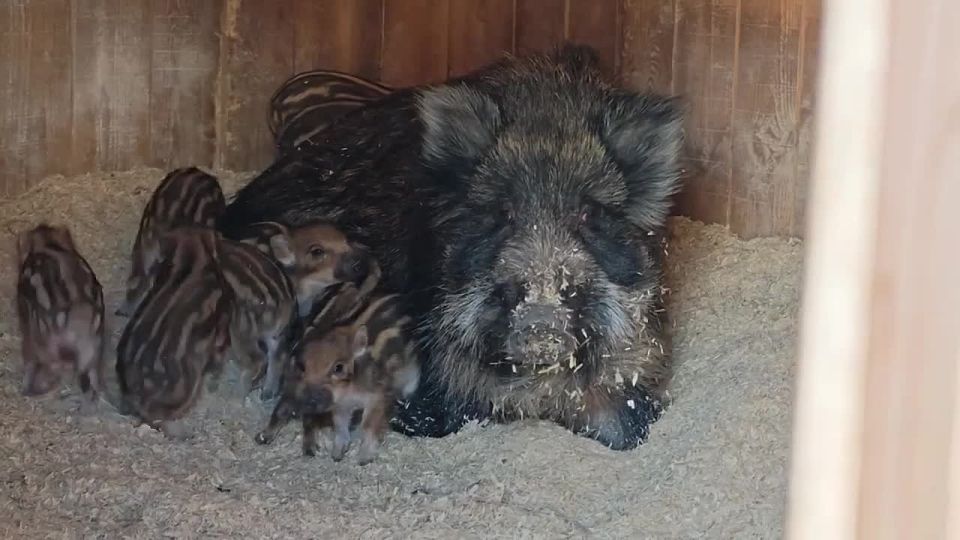 ������������� ��������� �� ������������� �������� ������ � �������� �����