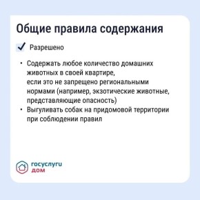 Как владельцам собак не ссориться с соседями изза уборки во дворе