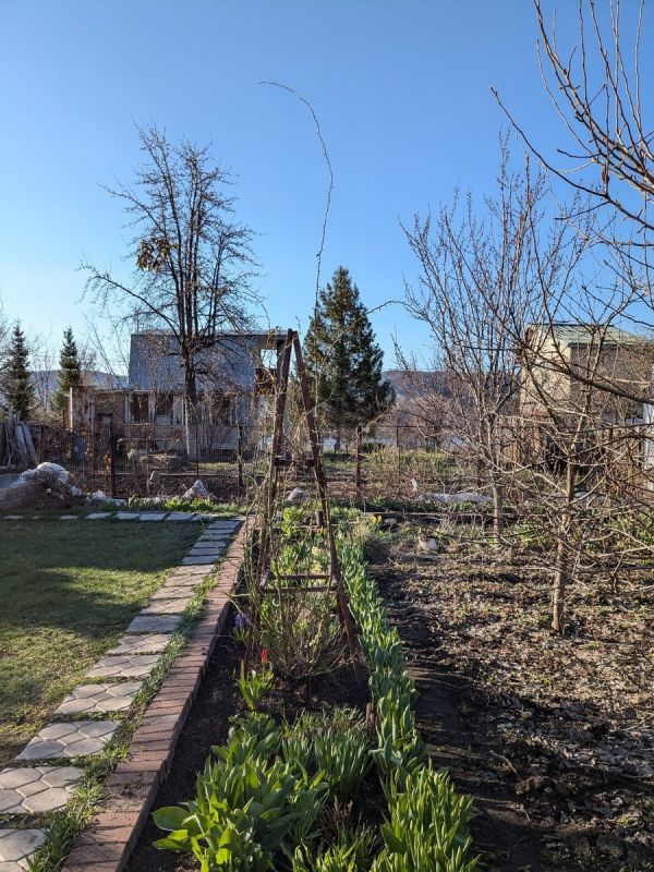 ��� ��������� ������� ������� ��� ���� �����������: ������ ���������