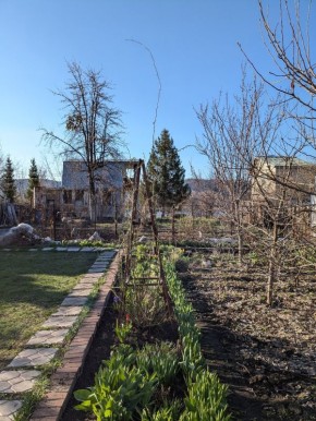 ��� ��������� ������� ������� ��� ���� �����������: ������ ���������