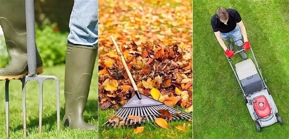 ���������� ������ � ����: �������� ���� ������