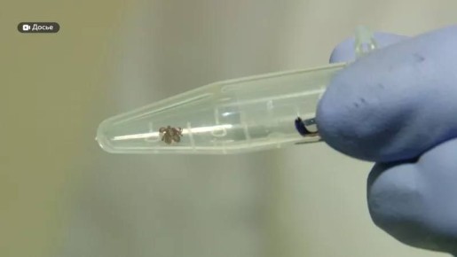 � ������ ��������� ���� � ���� � ���� ����� ����� ���� ������ ������