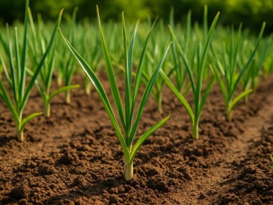 ��� ��������� ����������� ����� ����� ������ ������� ��� �������� ������� �������