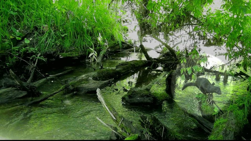 � ������������ ����� ������ ��������� ������������ ������������� ���������