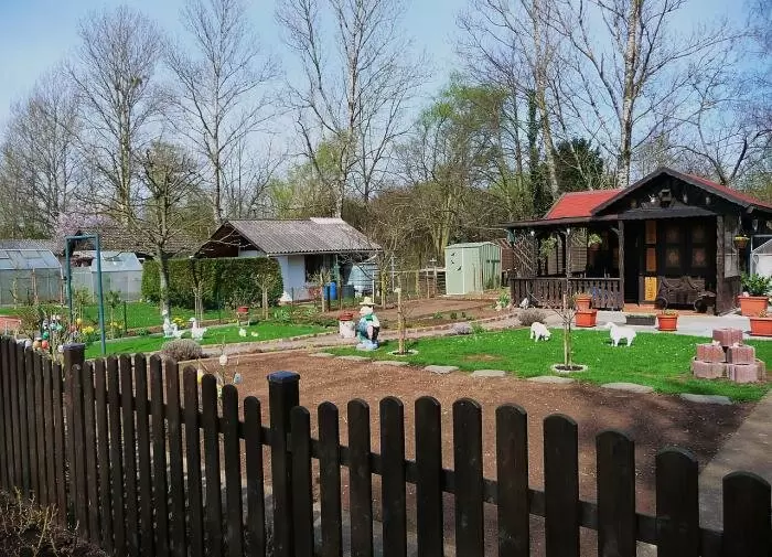 Как защитить свой дачный участок от комаров с помощью растений-репеллентов