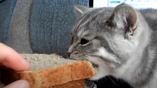 ����� �� ����� ���� ����? �������� �������� �� ������ ������