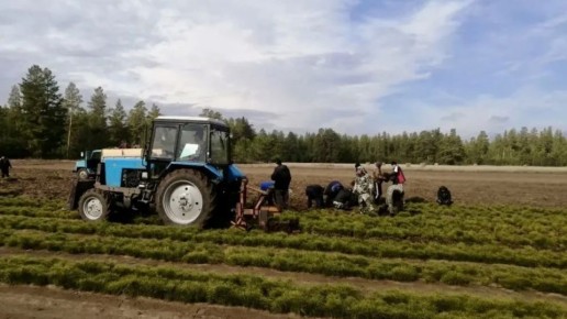 � ��������� ���� �������� ������ �� ������� ����