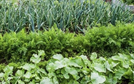 ��� �������� � ��������� � ��������� ������ ��� ������ ������