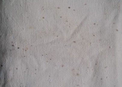 ��� ���������� ������� ������� � ������: ������ � �������