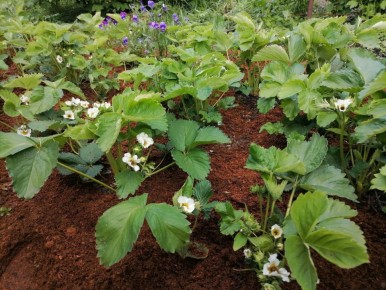 ���� �� ���������: ������ ��� ���������