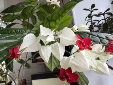 ������������: ����� ������� ����� ���������� �����������