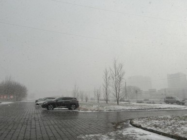 ��� ������� ������� �� ����������