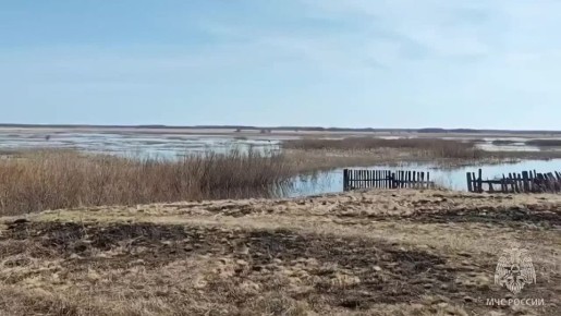 ���� ���������� ���������. ����� ������������ ����� � ��������� ���� ����������� �� 127