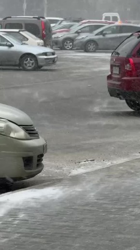 ��� ������� ���� �������� ������