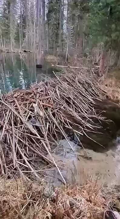 ������� ������ �������� � ��������� �����������