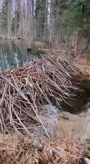 ������� ������ �������� � ��������� �����������