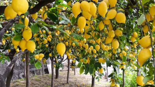 ����������� ���������� ������: 10 ��������� ��� ������� � ���� � ����