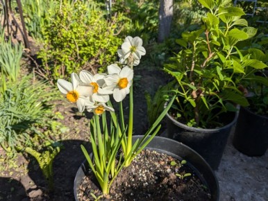 ��������, ���, �� ������: ��� �������� � ������� �� ������ ��������� � �����������