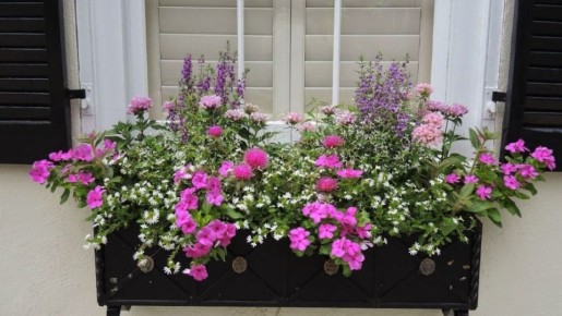 ���� ������� ������ ��� ������������ �������� �� �������