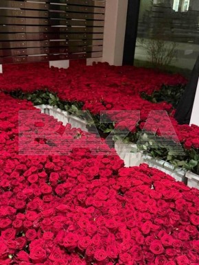 ��������� ��� ������������ ����� 20 ����� ���, � ��� ���������� �� ��� ��-�� �����