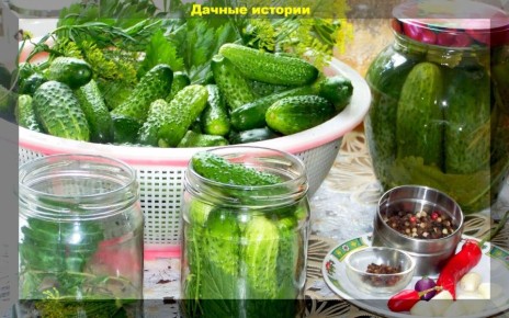 ��� �������� ���� ������� �������: ����������� ������� �� ������� �����������