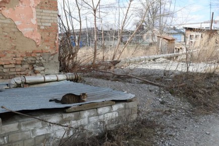 ���������� ���. ��� � �������� � ������ �������� ������ ����� ������� � �������, ���������� � ���� ���, ��� ��������� � �������� ���������! ��������