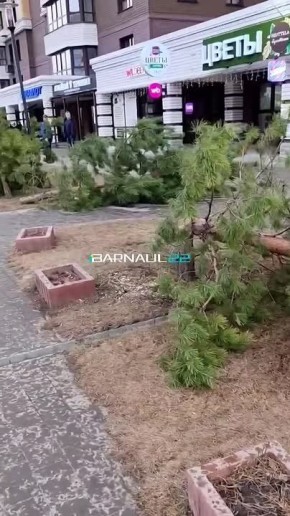 � ����������� �������� ����������� ����� ����������� ����� �� ����������� �� ���� ����������� � 65 ��� ������