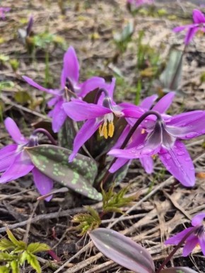 �������� ��� ������ � ��������� ����