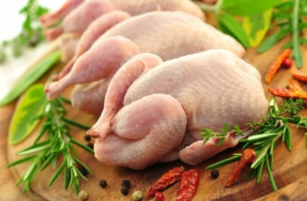 ��� ��������� �������� ����: �������� ����������� � ����� ������