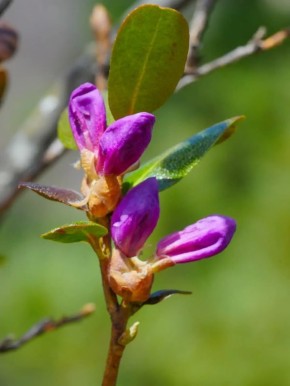 ������ ����� ���������� �������� �� �������� �����