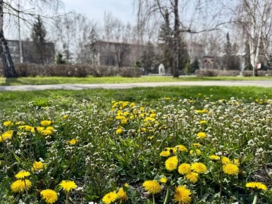 ������ ��������� ����, �����!