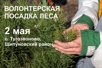 ������� �������� ���������� ������� ������� � ������� �������� � ����������� ������