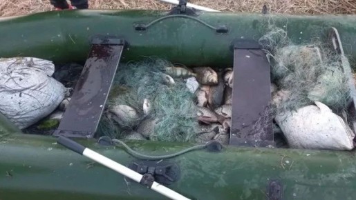 ���� ������ ��������� �� ������� � ������ ����������� �������