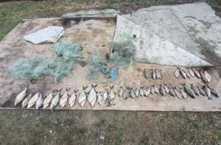 ���� ����������� �������� �� ������������� �� ����� �������