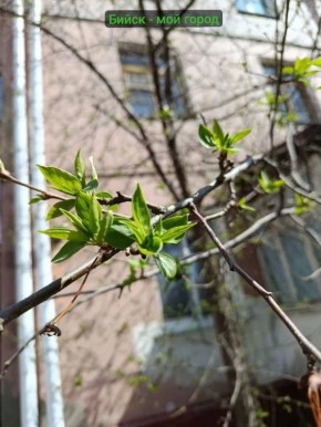 � ������ �����!. �� ��, ����� ������ ������������! ������ ������� ���������, �� ������� ������� ��������